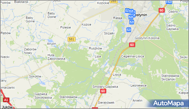 mapa Lipa gmina Gostynin, Lipa gmina Gostynin na mapie Targeo