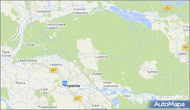 mapa Lubienia gmina Popielów, Lubienia gmina Popielów na mapie Targeo