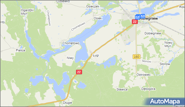mapa Ługi gmina Dobiegniew, Ługi gmina Dobiegniew na mapie Targeo