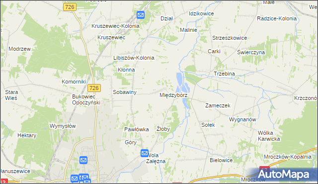 mapa Międzybórz gmina Opoczno, Międzybórz gmina Opoczno na mapie Targeo