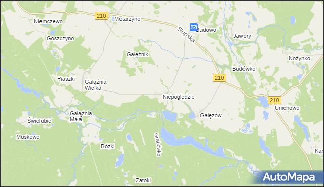 mapa Niepoględzie, Niepoględzie na mapie Targeo