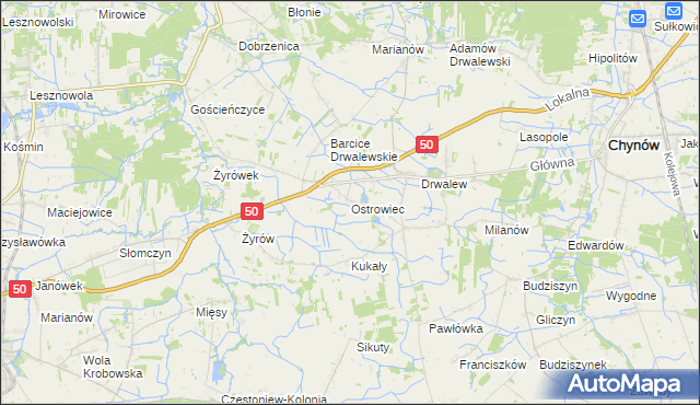 mapa Ostrowiec gmina Chynów, Ostrowiec gmina Chynów na mapie Targeo