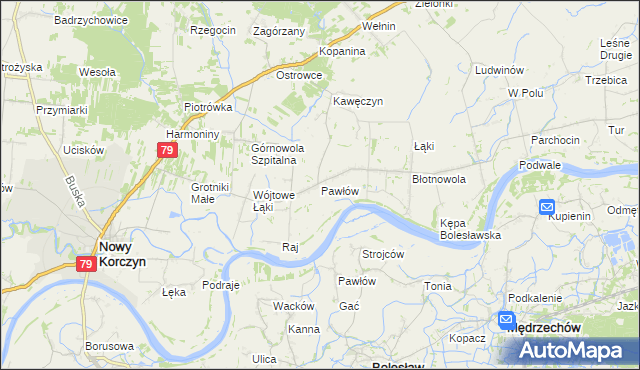 mapa Pawłów gmina Nowy Korczyn, Pawłów gmina Nowy Korczyn na mapie Targeo