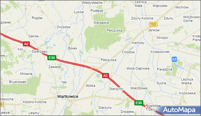 mapa Pełczyska gmina Wartkowice, Pełczyska gmina Wartkowice na mapie Targeo