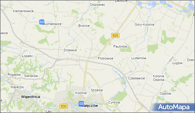 mapa Piotrowice gmina Nałęczów, Piotrowice gmina Nałęczów na mapie Targeo