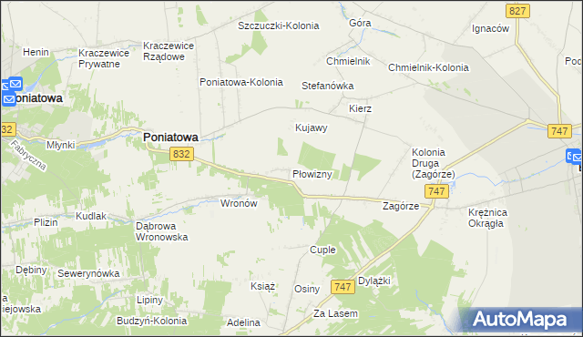 mapa Płowizny, Płowizny na mapie Targeo