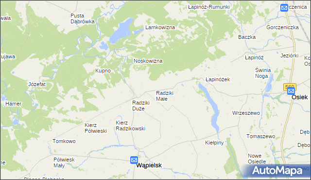 mapa Radziki Małe, Radziki Małe na mapie Targeo