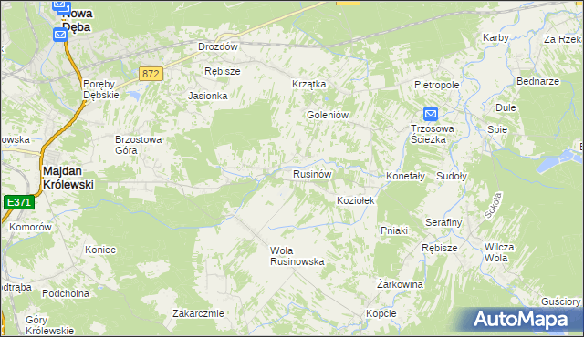 mapa Rusinów gmina Majdan Królewski, Rusinów gmina Majdan Królewski na mapie Targeo