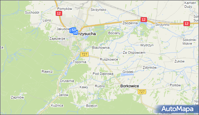 mapa Ruszkowice gmina Borkowice, Ruszkowice gmina Borkowice na mapie Targeo