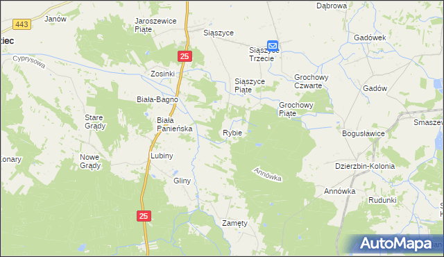 mapa Rybie gmina Rychwał, Rybie gmina Rychwał na mapie Targeo