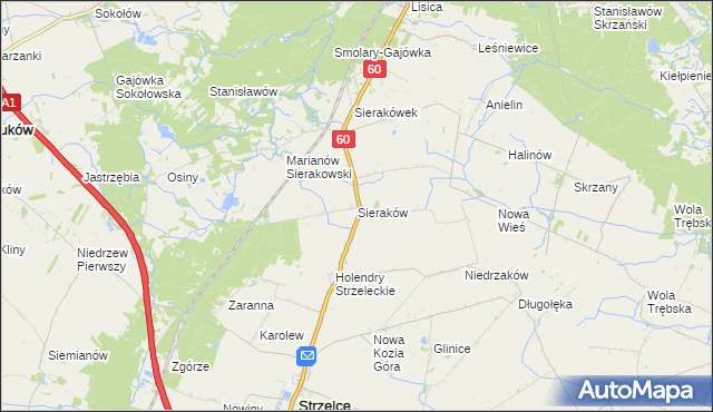 mapa Sieraków gmina Gostynin, Sieraków gmina Gostynin na mapie Targeo