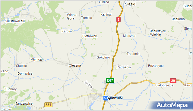 mapa Sokolniki gmina Łagiewniki, Sokolniki gmina Łagiewniki na mapie Targeo