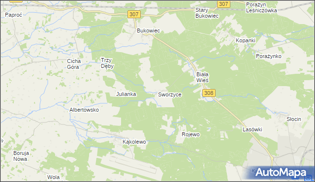 mapa Sworzyce gmina Grodzisk Wielkopolski, Sworzyce gmina Grodzisk Wielkopolski na mapie Targeo