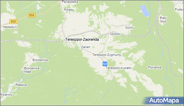 mapa Tereszpol-Zygmunty, Tereszpol-Zygmunty na mapie Targeo