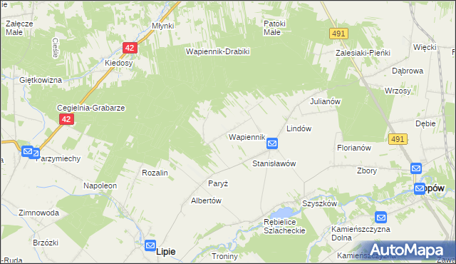mapa Wapiennik gmina Lipie, Wapiennik gmina Lipie na mapie Targeo