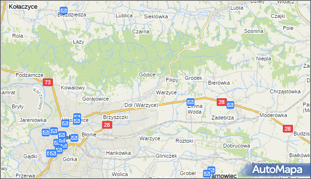 mapa Warzyce, Warzyce na mapie Targeo