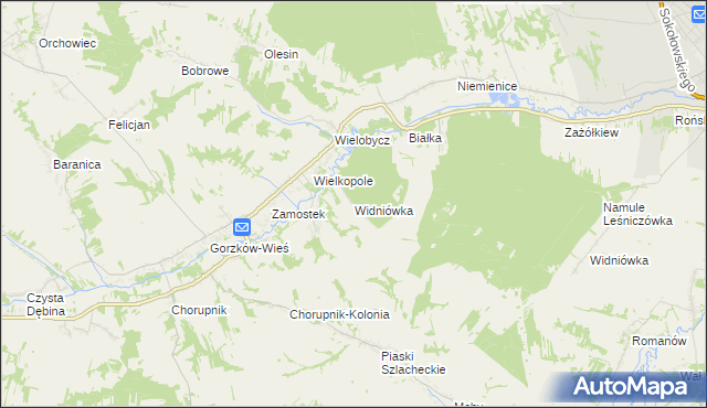 mapa Widniówka gmina Gorzków, Widniówka gmina Gorzków na mapie Targeo