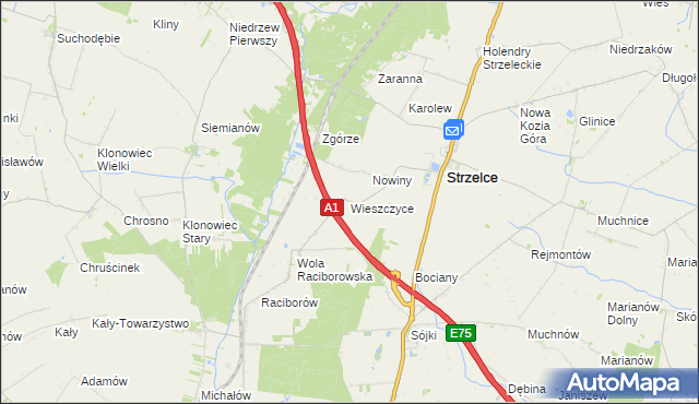 mapa Wieszczyce gmina Strzelce, Wieszczyce gmina Strzelce na mapie Targeo