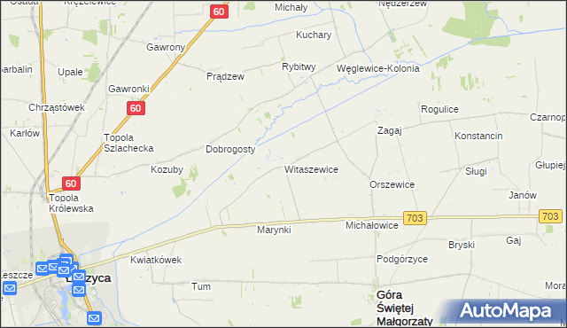 mapa Witaszewice, Witaszewice na mapie Targeo
