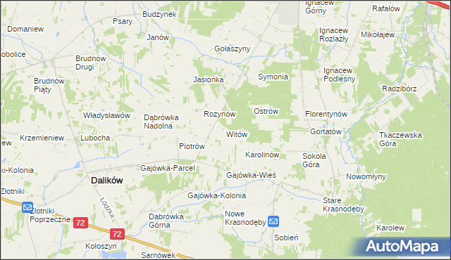 mapa Witów gmina Dalików, Witów gmina Dalików na mapie Targeo
