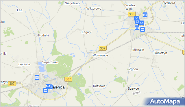 mapa Wojnowice gmina Opalenica, Wojnowice gmina Opalenica na mapie Targeo