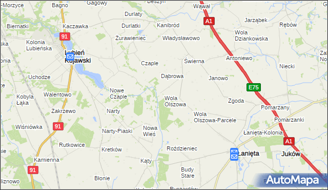 mapa Wola Olszowa, Wola Olszowa na mapie Targeo