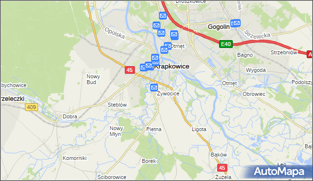 mapa Żywocice, Żywocice na mapie Targeo