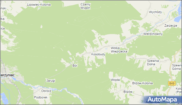 mapa Kosobudy gmina Zwierzyniec, Kosobudy gmina Zwierzyniec na mapie Targeo