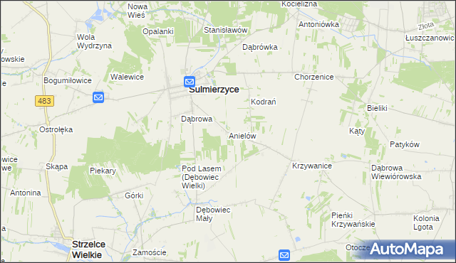 mapa Anielów gmina Sulmierzyce, Anielów gmina Sulmierzyce na mapie Targeo