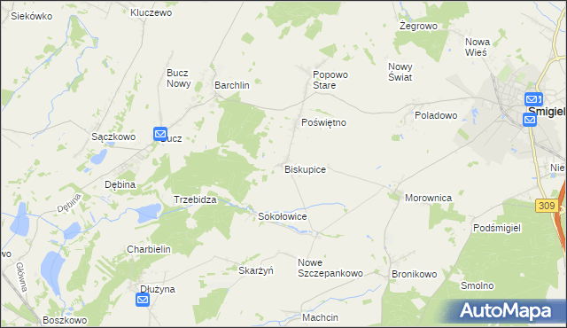 mapa Biskupice gmina Przemęt, Biskupice gmina Przemęt na mapie Targeo