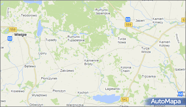 mapa Borowo gmina Tłuchowo, Borowo gmina Tłuchowo na mapie Targeo