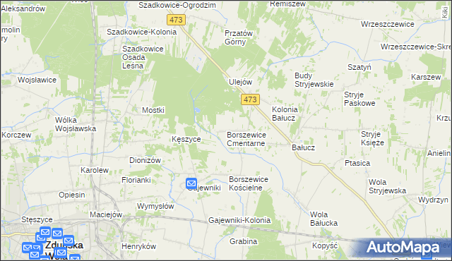 mapa Borszewice Cmentarne, Borszewice Cmentarne na mapie Targeo