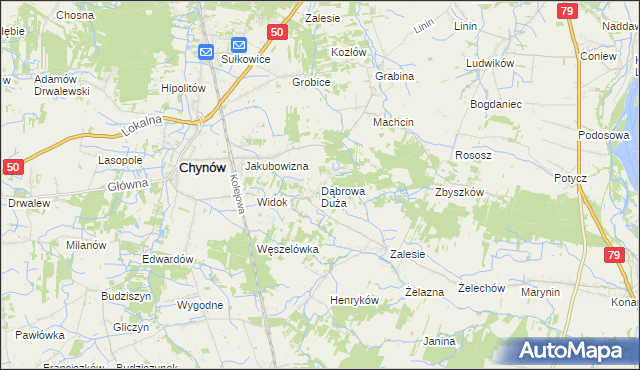 mapa Dąbrowa Duża gmina Chynów, Dąbrowa Duża gmina Chynów na mapie Targeo