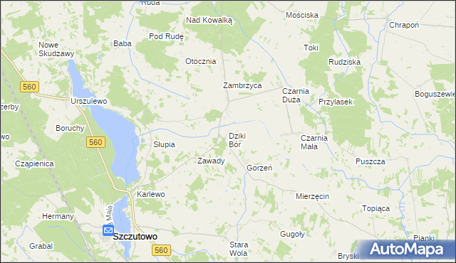 mapa Dziki Bór, Dziki Bór na mapie Targeo