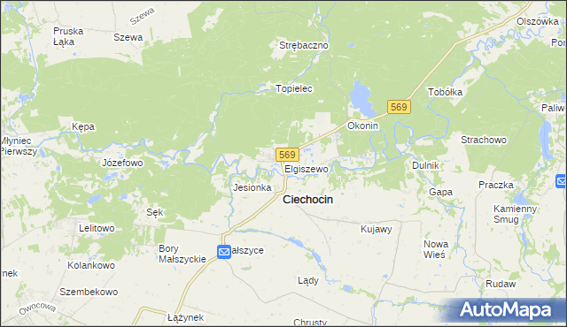 mapa Elgiszewo, Elgiszewo na mapie Targeo