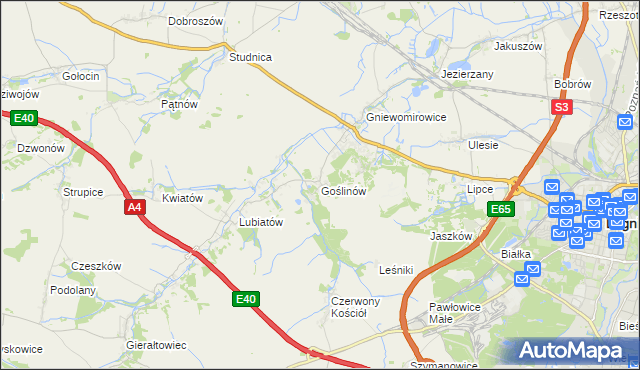 mapa Goślinów, Goślinów na mapie Targeo