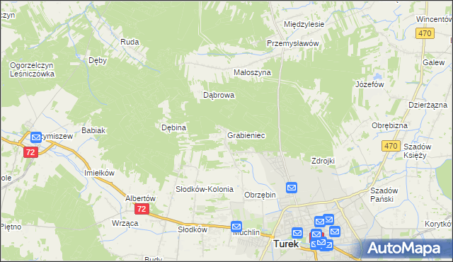 mapa Grabieniec gmina Turek, Grabieniec gmina Turek na mapie Targeo