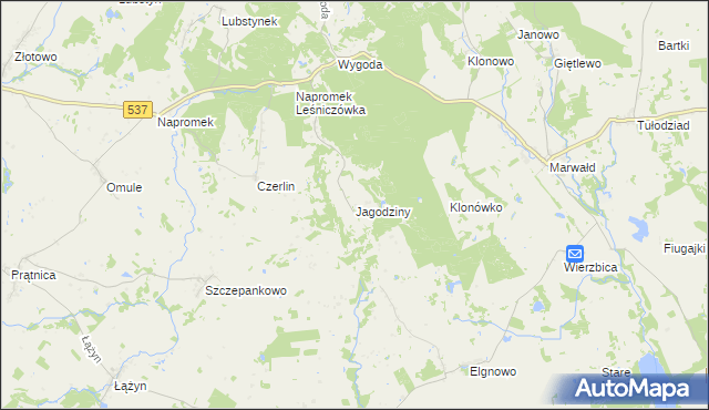 mapa Jagodziny, Jagodziny na mapie Targeo