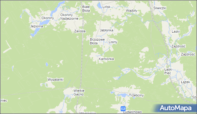 mapa Kamionka gmina Śliwice, Kamionka gmina Śliwice na mapie Targeo