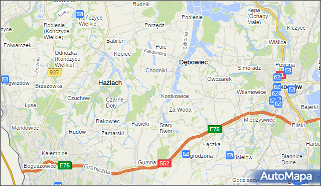 mapa Kostkowice gmina Dębowiec, Kostkowice gmina Dębowiec na mapie Targeo