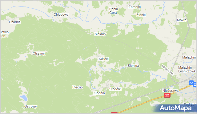 mapa Kwieki, Kwieki na mapie Targeo