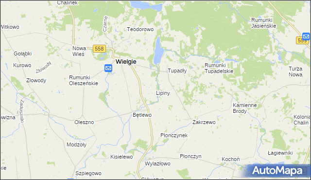 mapa Lipiny gmina Wielgie, Lipiny gmina Wielgie na mapie Targeo