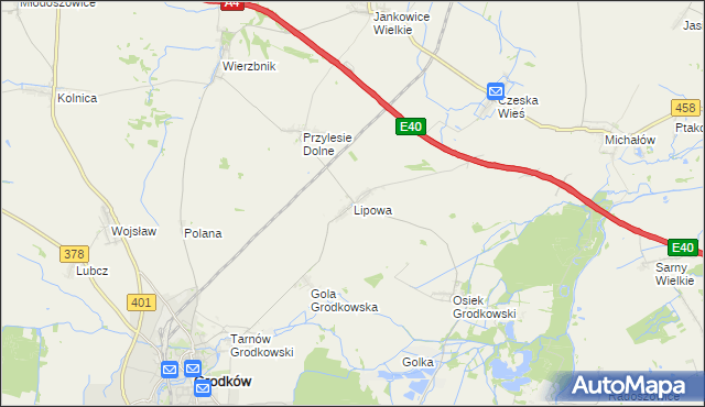 mapa Lipowa gmina Grodków, Lipowa gmina Grodków na mapie Targeo