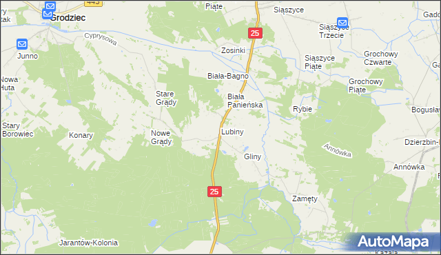 mapa Lubiny gmina Rychwał, Lubiny gmina Rychwał na mapie Targeo