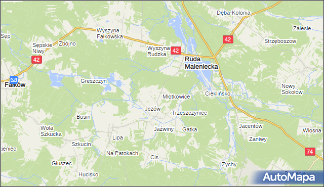 mapa Młotkowice, Młotkowice na mapie Targeo