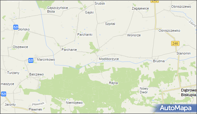 mapa Modliborzyce gmina Dąbrowa Biskupia, Modliborzyce gmina Dąbrowa Biskupia na mapie Targeo