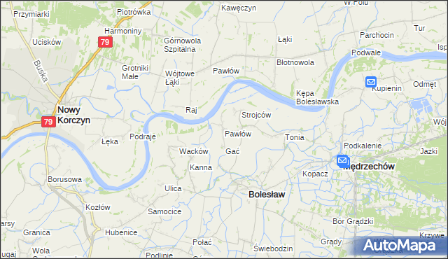 mapa Pawłów gmina Bolesław, Pawłów gmina Bolesław na mapie Targeo