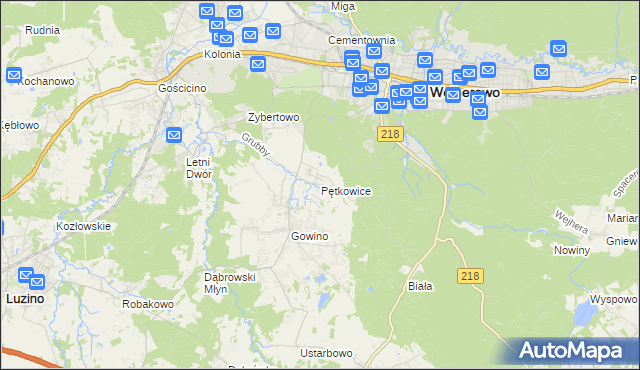 mapa Pętkowice gmina Wejherowo, Pętkowice gmina Wejherowo na mapie Targeo