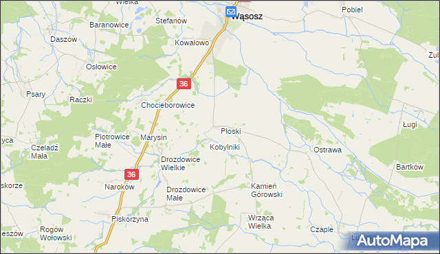 mapa Płoski, Płoski na mapie Targeo