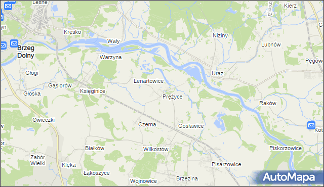 mapa Prężyce, Prężyce na mapie Targeo